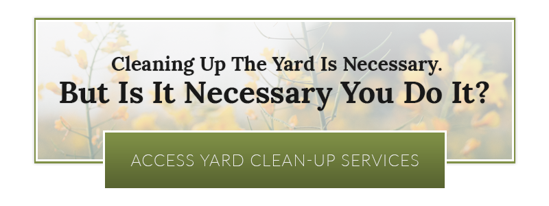 CTA3-Ray-Lawns-5e44034eb0bb5