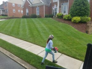lawn and landscape services