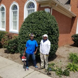 lawn and landscape services