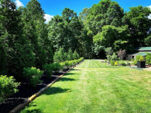 lawn maintenance service near you