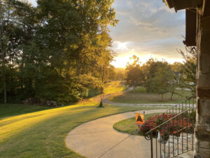 chattanooa lawn care