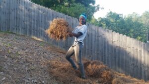 lawn and landscape services