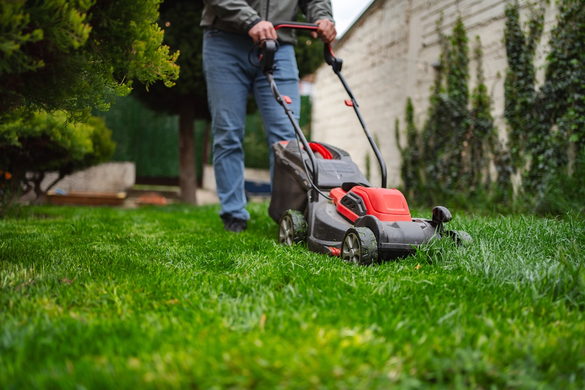 Person mowing a lush green lawn with a push mower in a residential yard, illustrating how often you should mow your lawn