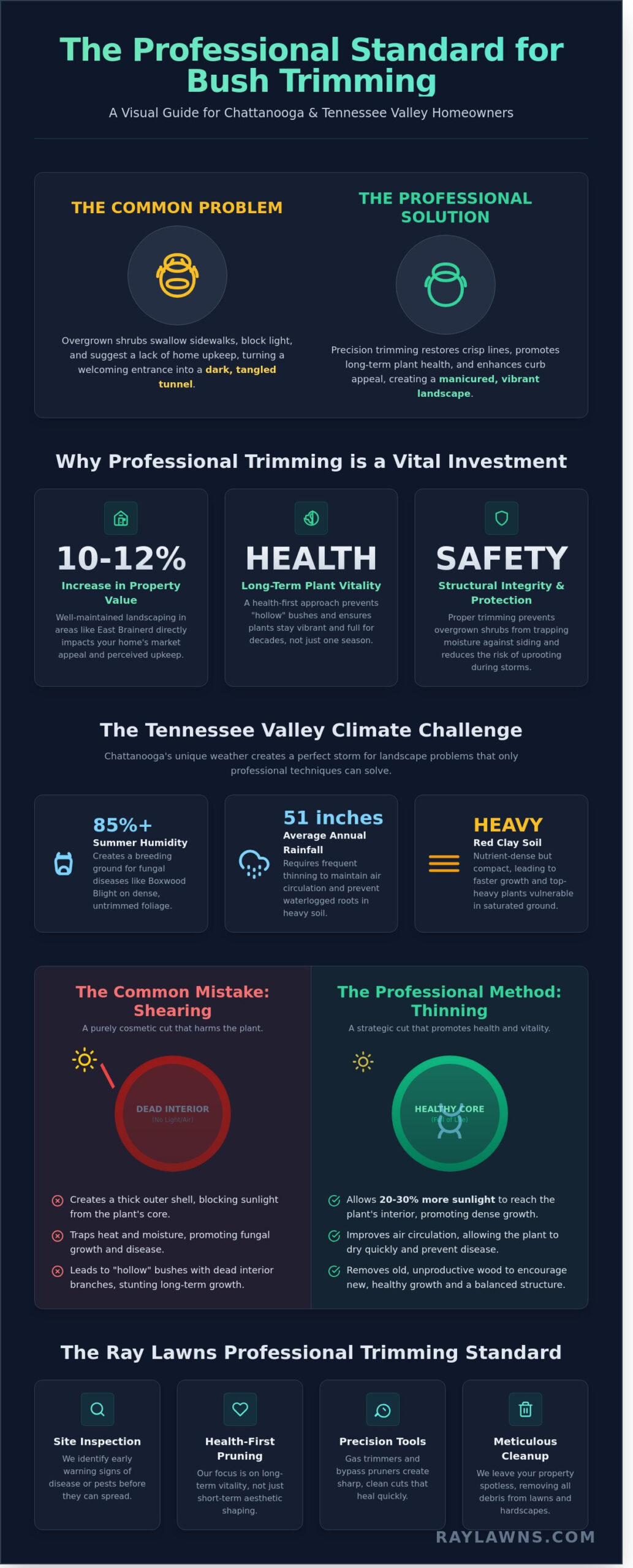 Professional Bush Trimming Service in Chattanooga: Enhancing Health and Curb Appeal - Infographic