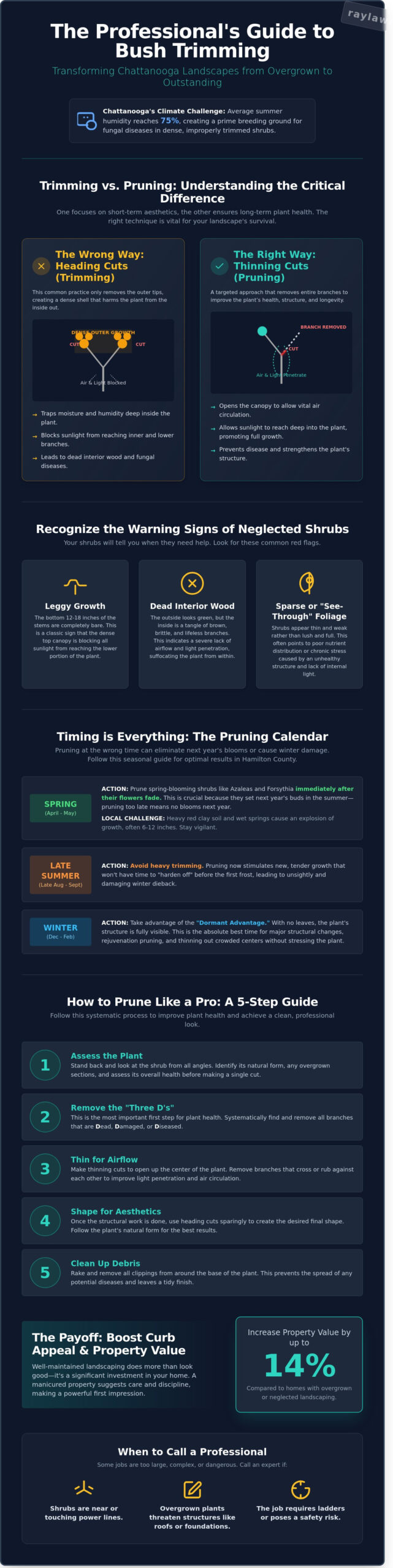 Professional Bush Trimming in Chattanooga: The Homeowner’s Guide to Healthy Shrubs - Infographic