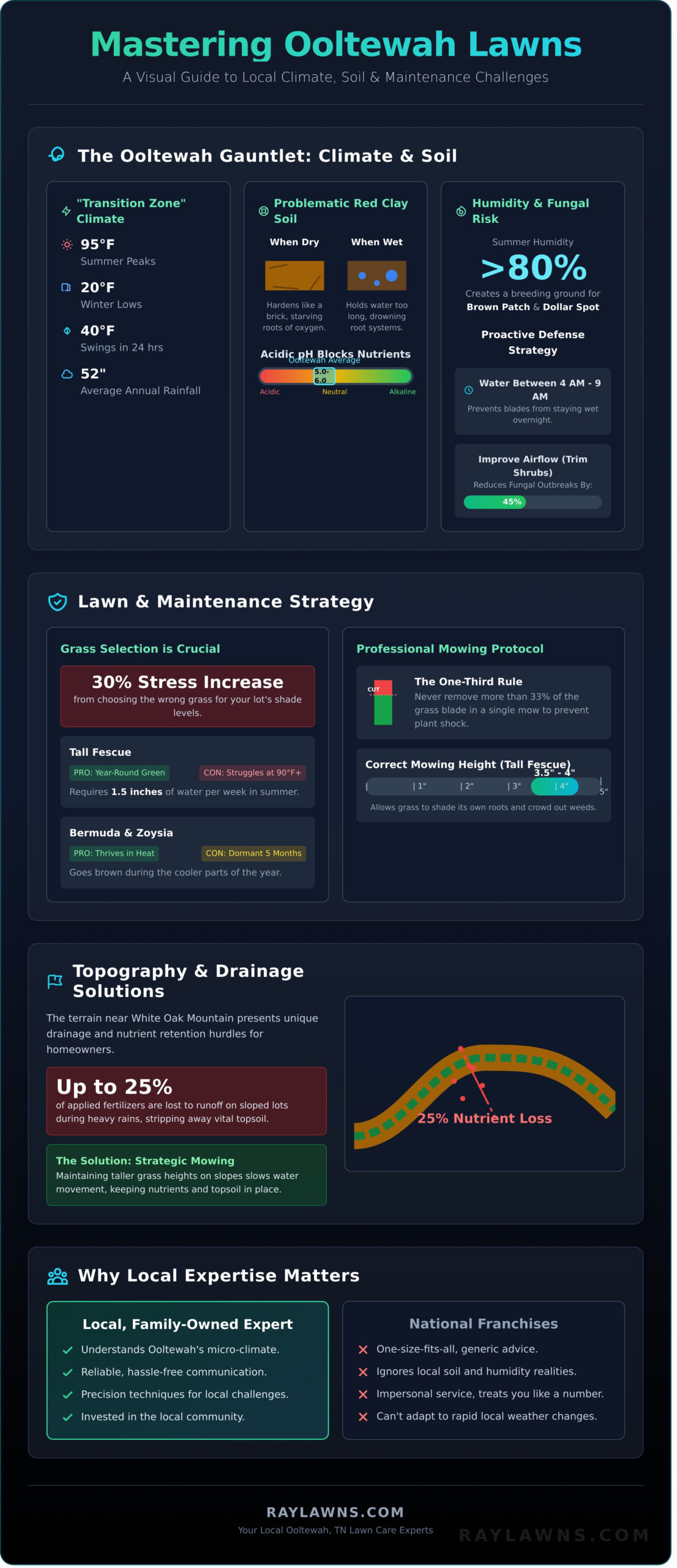 Professional Lawn Care in Ooltewah, TN: The Complete 2026 Homeowner’s Guide - Infographic