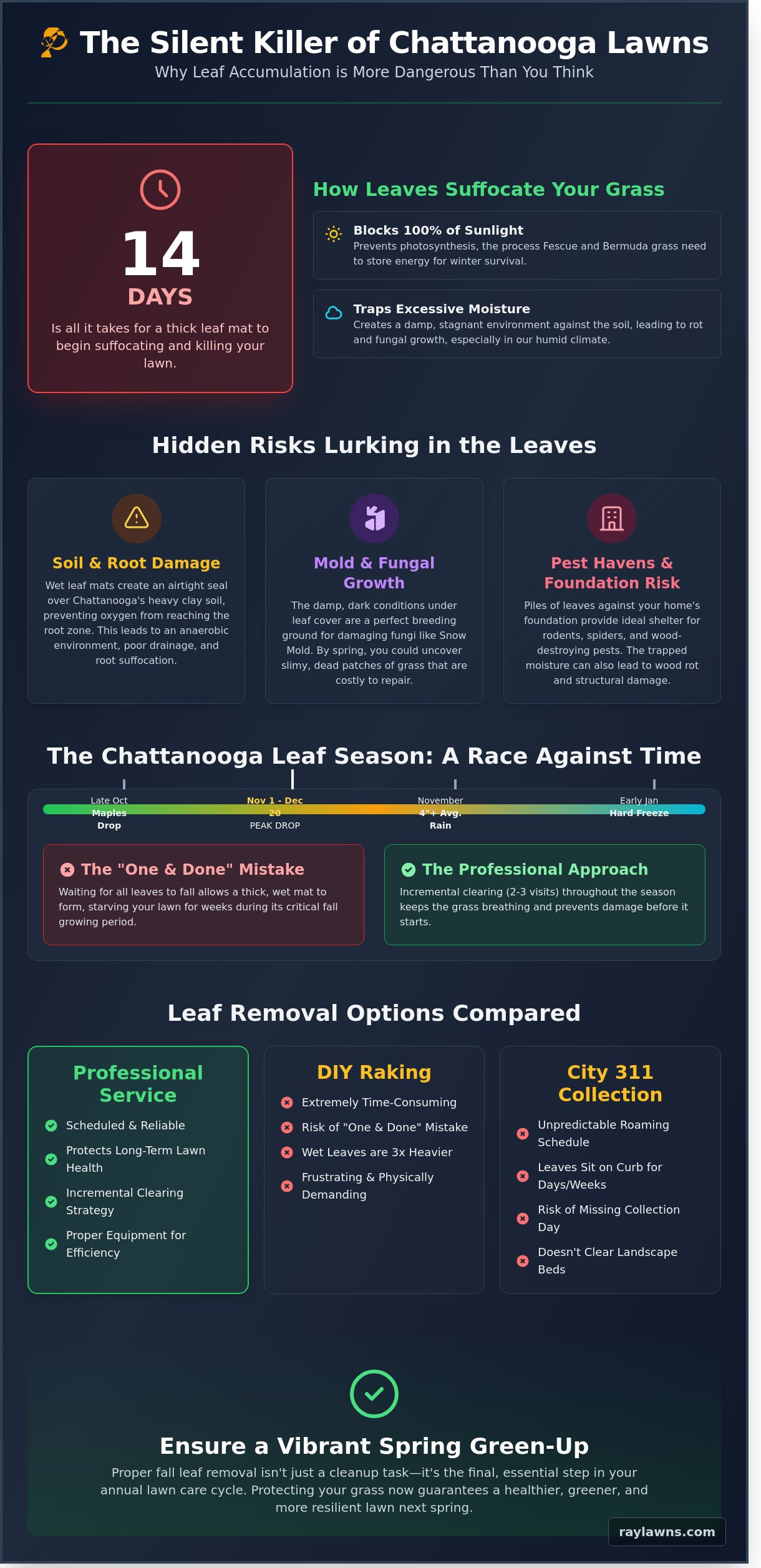 Professional Leaf Removal in Chattanooga: Protecting Your Lawn Health - Infographic