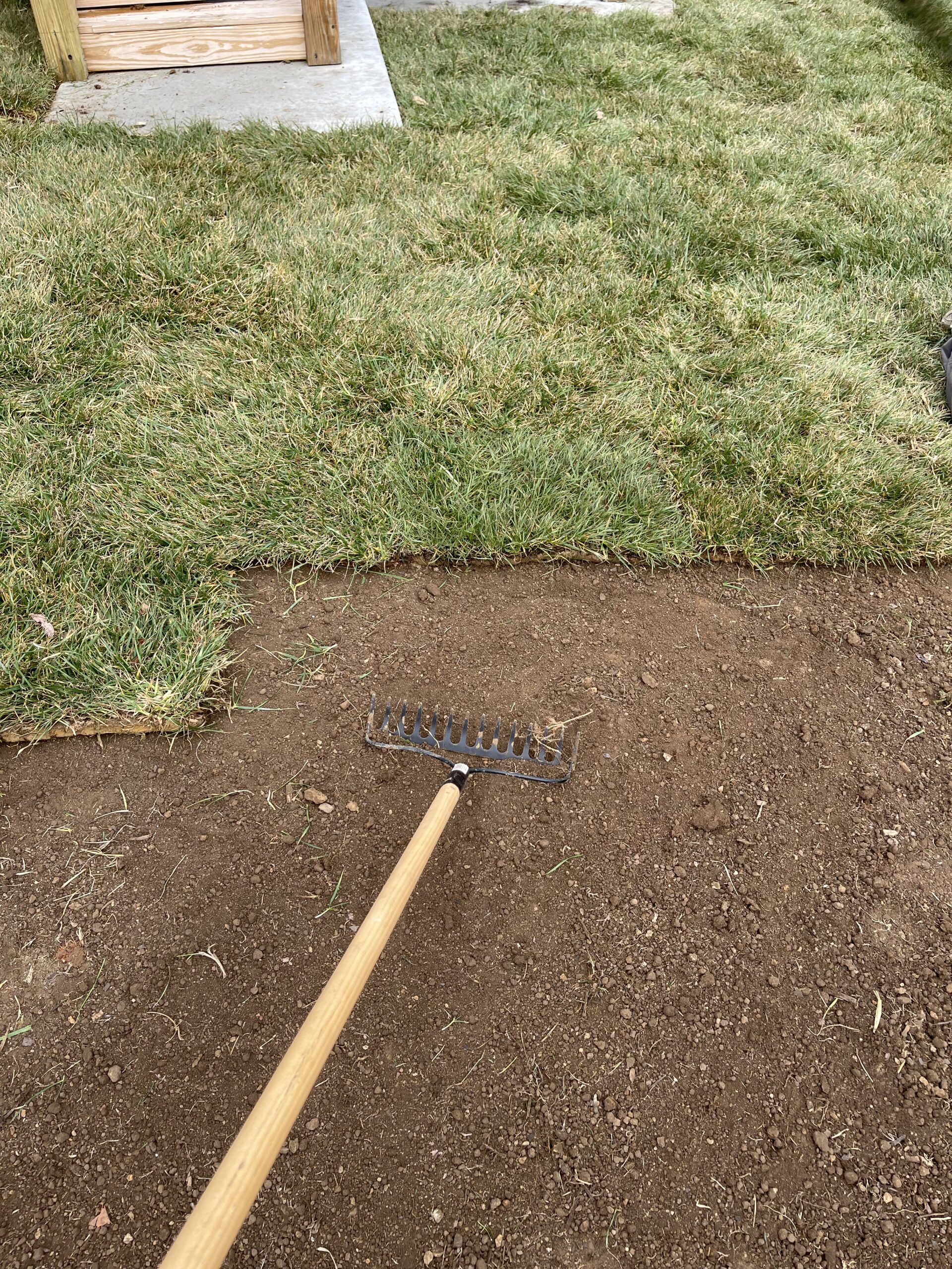 Ray Lawns crew laying sod with tight seams during installation in Ooltewah TN