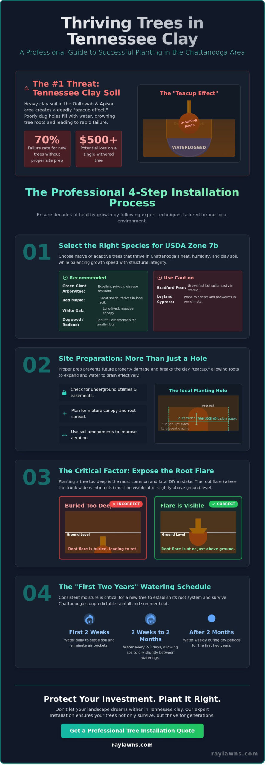 Expert Tree Installation in Ooltewah & Chattanooga: The Local Homeowner’s Guide - Infographic