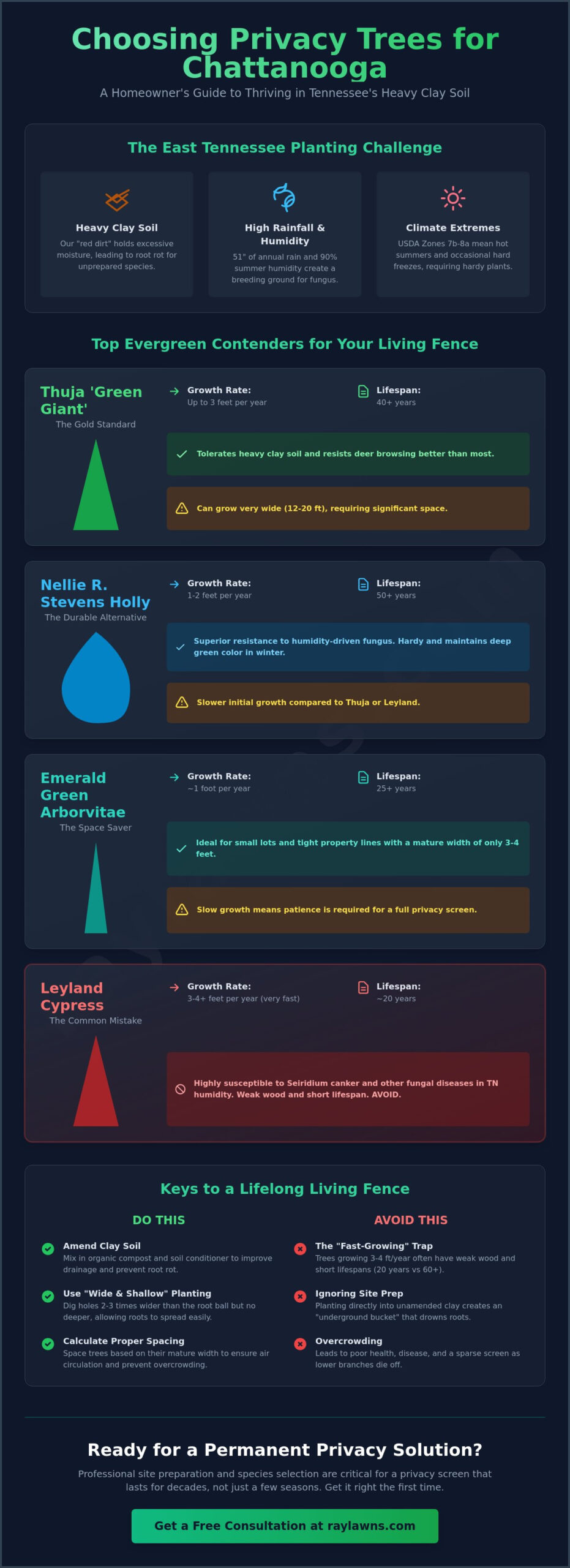 Privacy Trees Near Me: A Homeowner’s Guide to Living Screens in Ooltewah and Chattanooga - Infographic