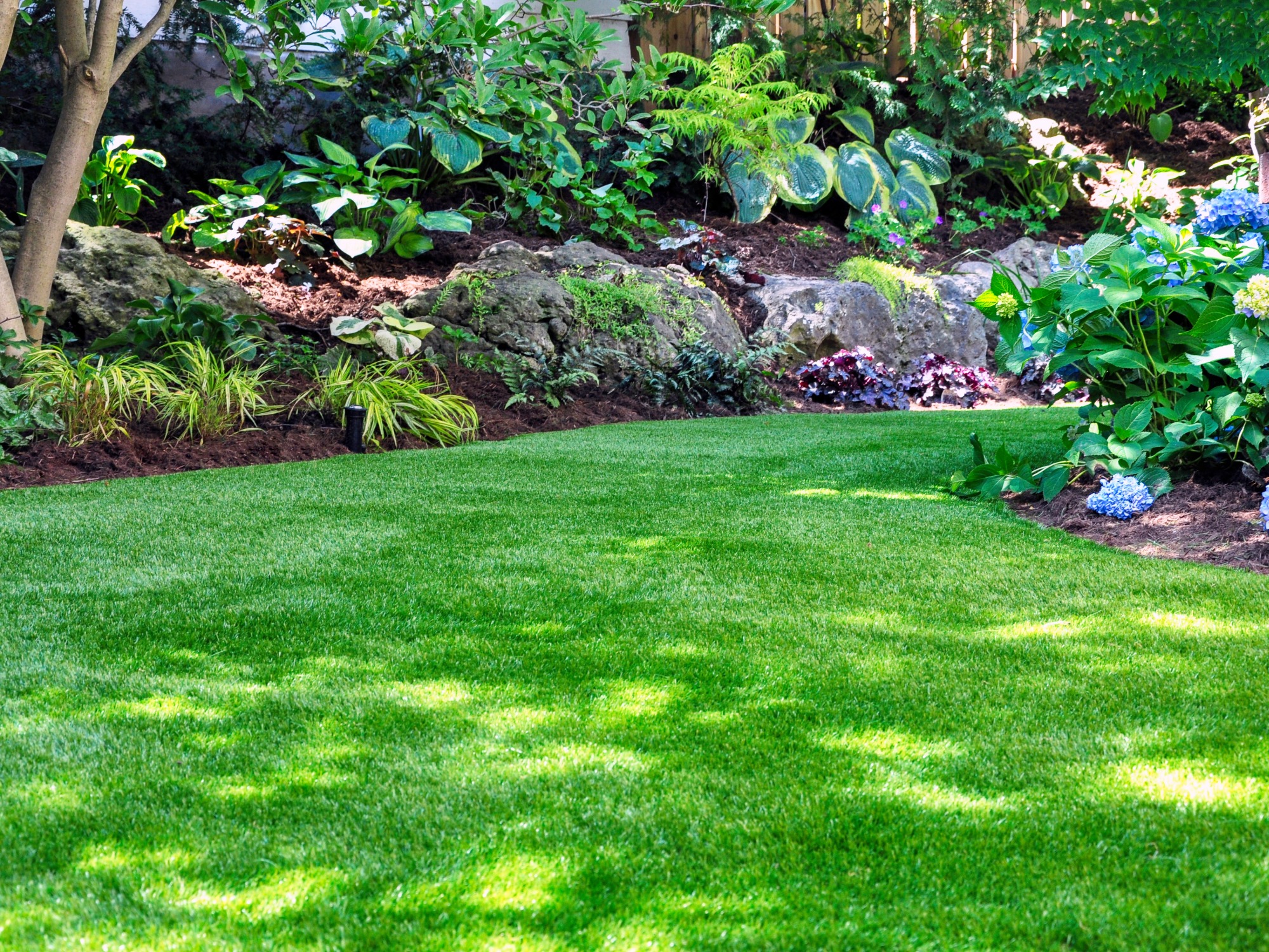 A patchy lawn in East Brainerd TN needing professional lawn care service