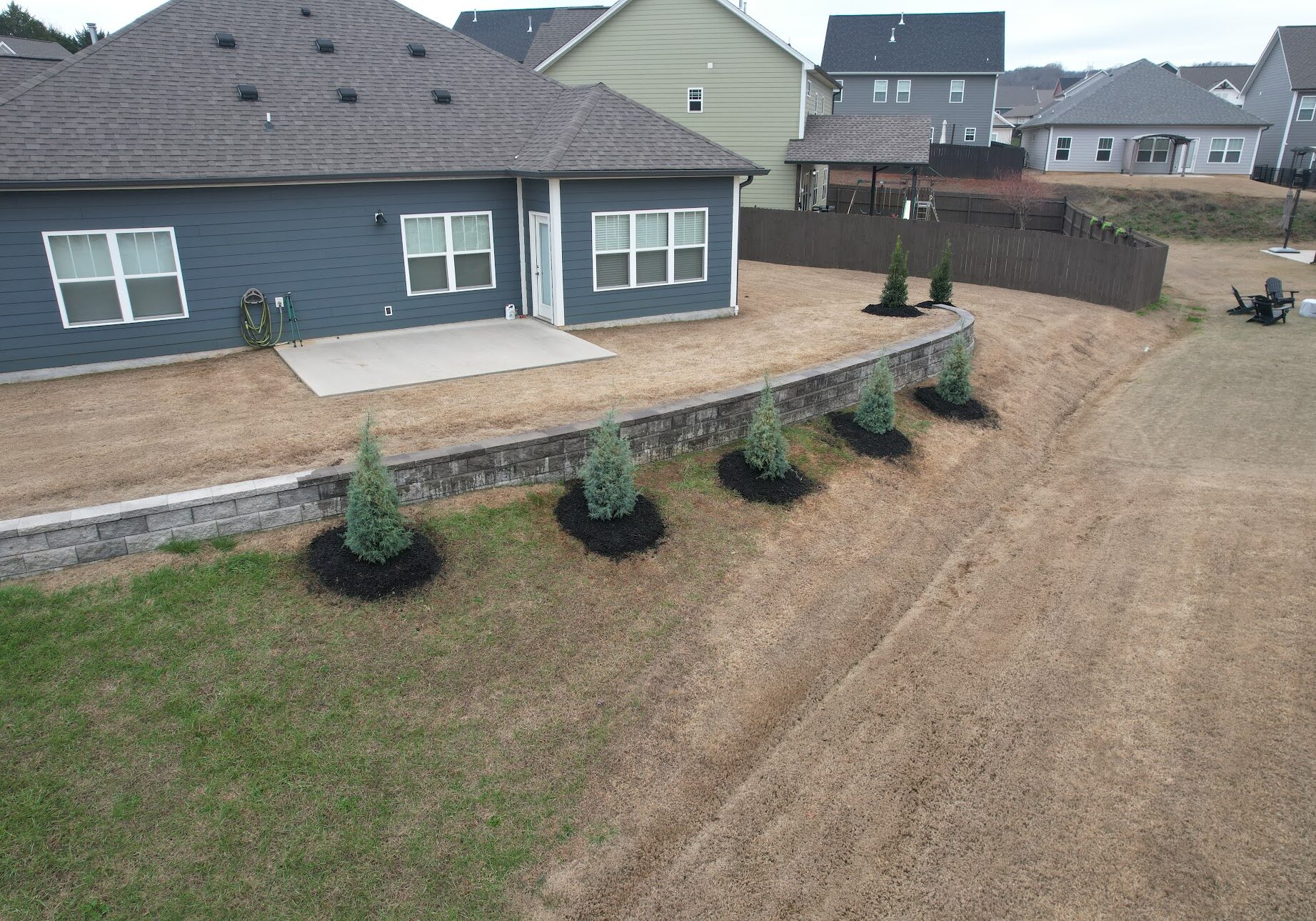 Chattanooga Privacy Tree Planting Services