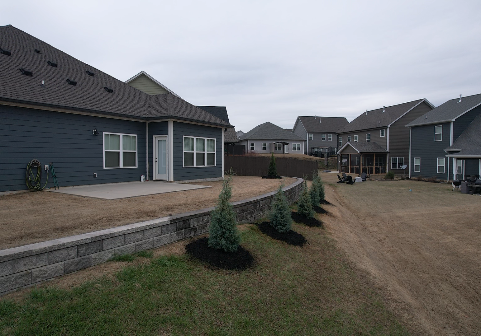 Carolina Sapphire trees planted in Apison
