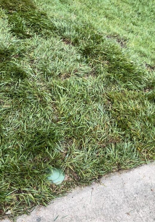 Pop-up emitter for a French Drain in Ooltewah