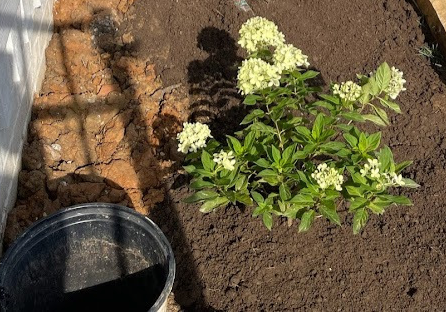Landscaping in Ooltewah
