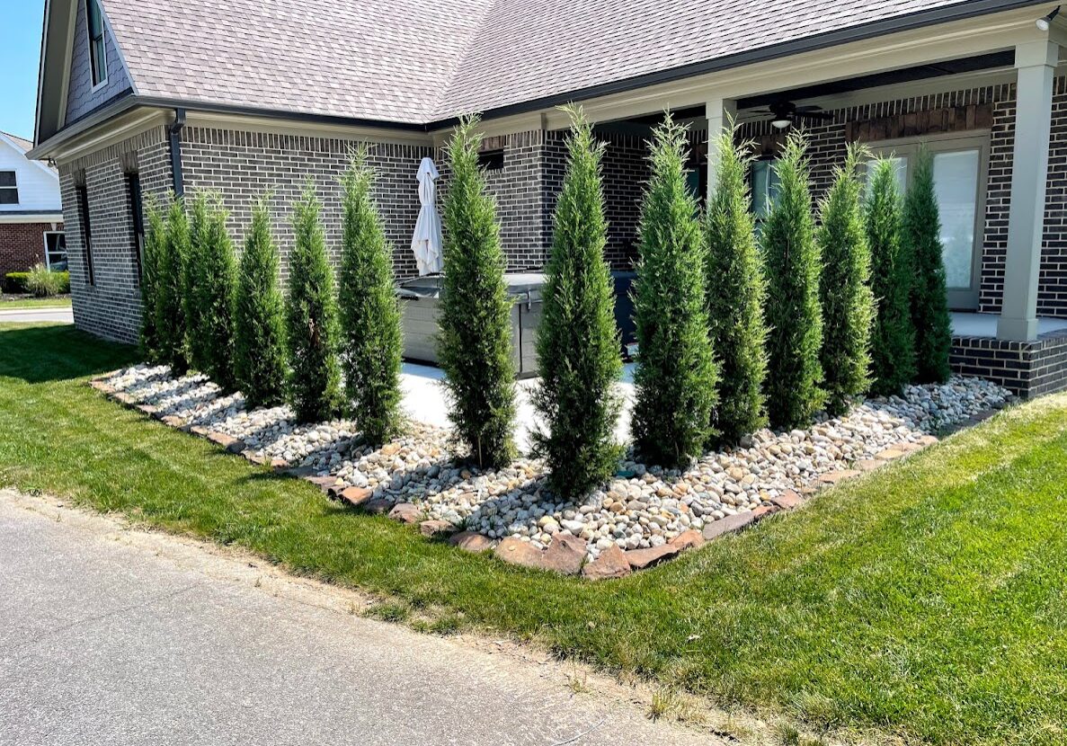 Chattanooga Privacy Tree Planting Services