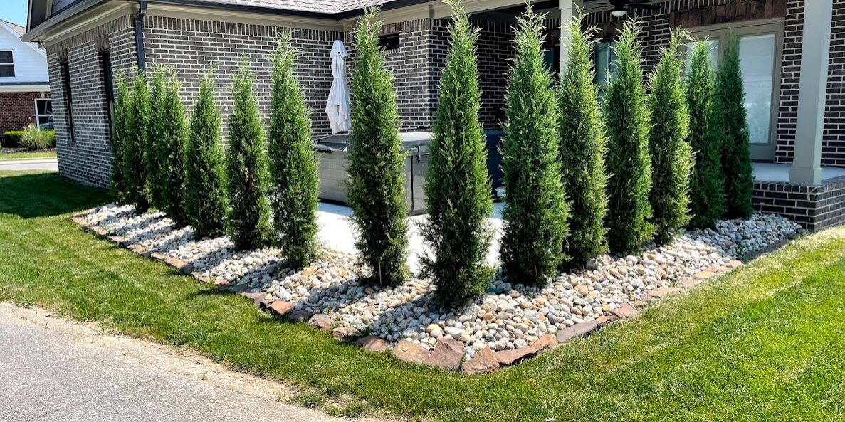Chattanooga Privacy Tree Planting Services