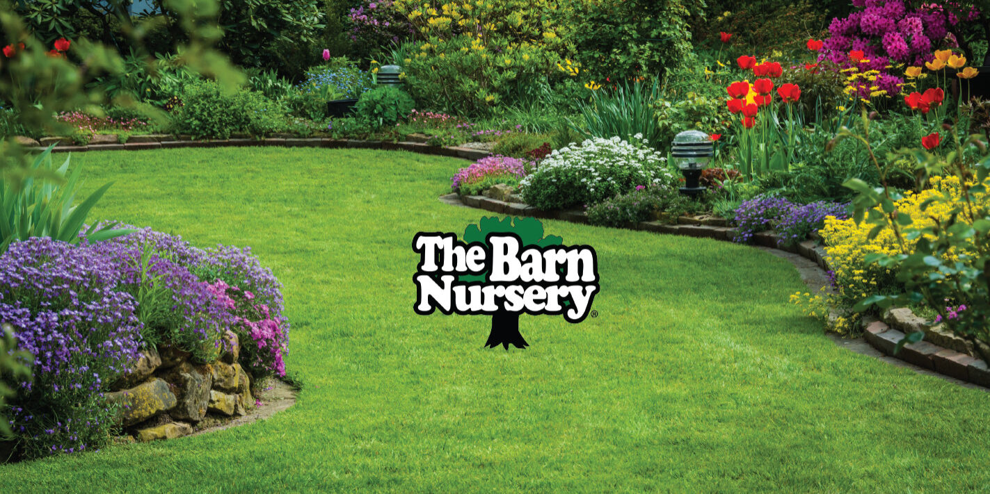 The Barn Nursery in Chattanooga used for a landscaping project in Apison